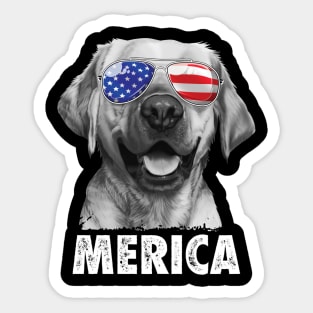 Labrador 4th of July Shirt Sticker